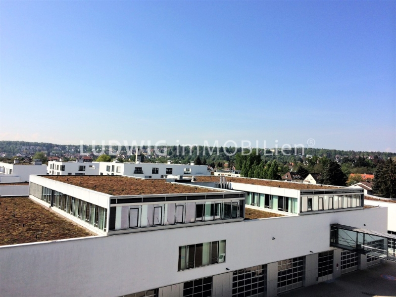Blick